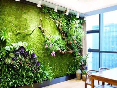 仿真绿化墙的仿真植物要求有哪些