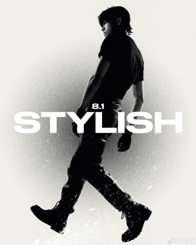 ¸衶Stylish ˫ʵϿ