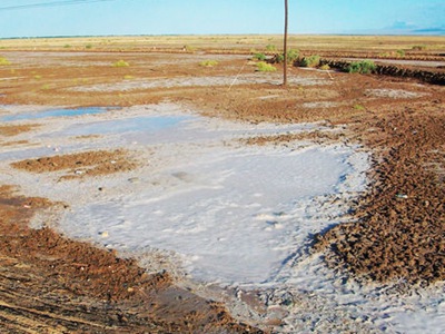土壤盐渍化是指土壤底层或地下水的盐分随毛管水上升到地表,水分蒸发