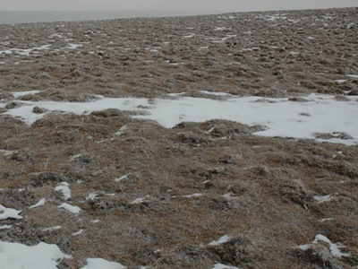 冻融荒漠化图片图片