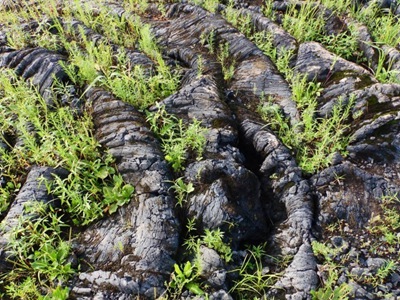 其中50%以上的成分是由火山碎屑流喷出的物质组成,这些火山碎屑主要是