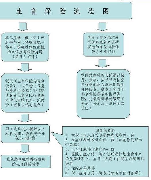 生育险的报销流程是怎样的