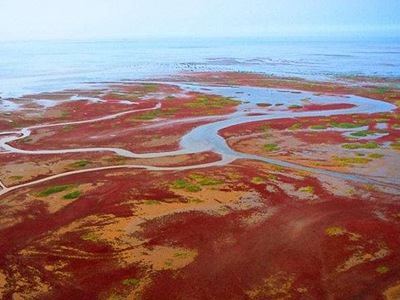 黄河填海造陆近况