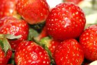 草莓应该以怎样的方式进行清洗？详解草莓正确的清洗方法！
