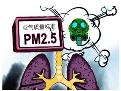 pm2.5ĵλʲô