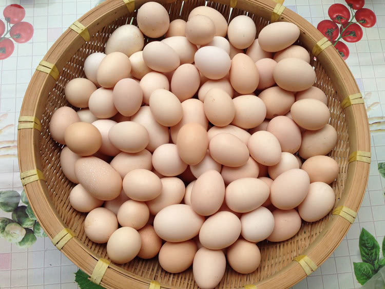 柴鸡蛋的营养价值是什么?