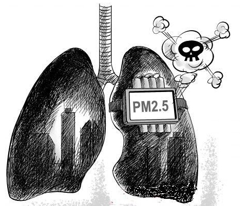 PM2.5ķ