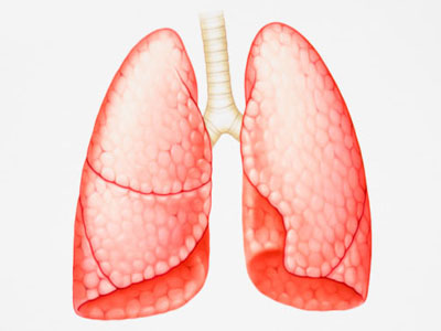 肺炭疽病的症状图片图片