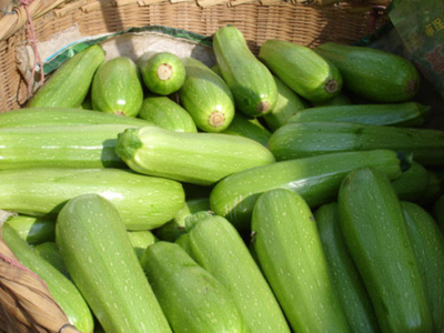 笋瓜的营养价值图片