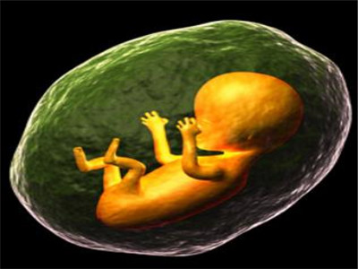 寄生胎动画图片