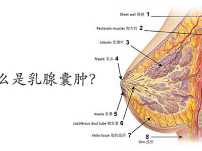 鷿׵֢״Щ