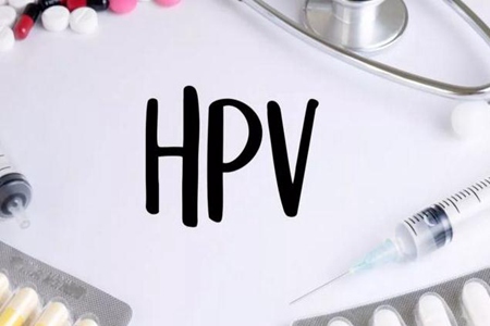 ҲȾHPV HPV˽