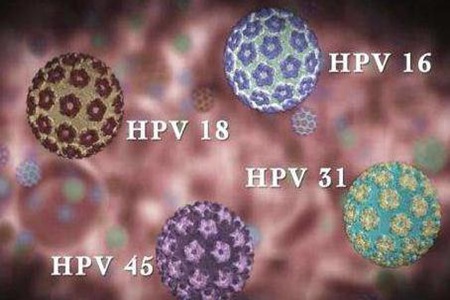 ҲȾHPV HPV˽