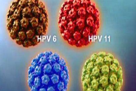 ҲȾHPV HPV˽