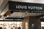 lv̬ȲÿԻ