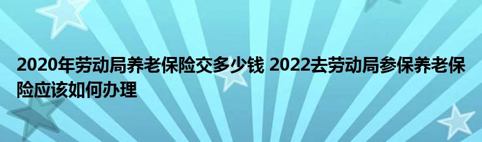 2020ͶϱսǮ 2022ȥͶֲαϱӦΰ