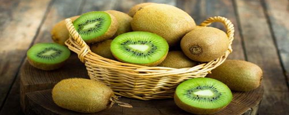 ⨺ҿֻ˵kiwi