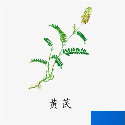 請列舉出李時珍《本草綱目》中的10種中草藥.