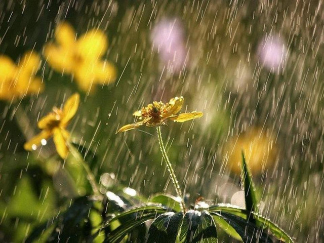 春雨蒙蒙的下图片