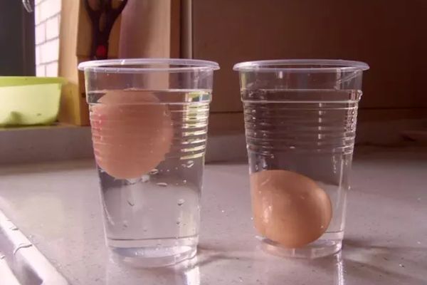 盐水浮鸡蛋实验图片图片