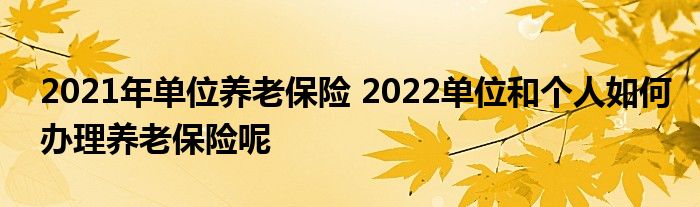 2021굥λϱ 2022λ͸ΰϱ