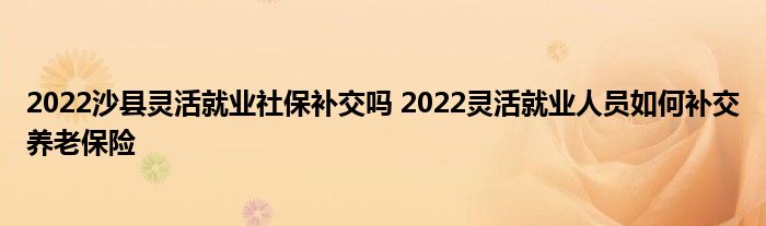 2022ɳҵ籣 2022ҵԱβϱ