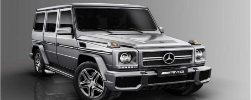 g500g63ʲô