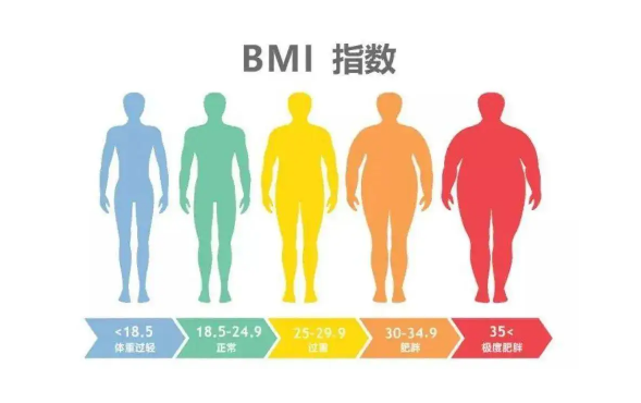 bmiָŮ׼ʲô