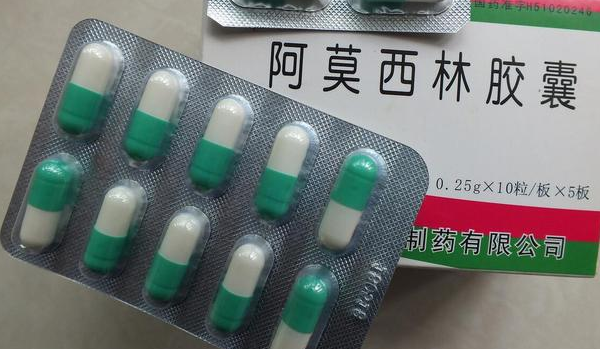 ԿԳ԰Ī𣿿֪