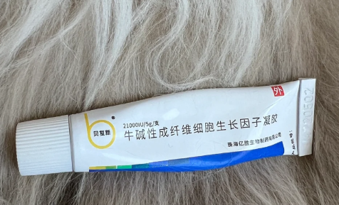 ǽǰûǵ