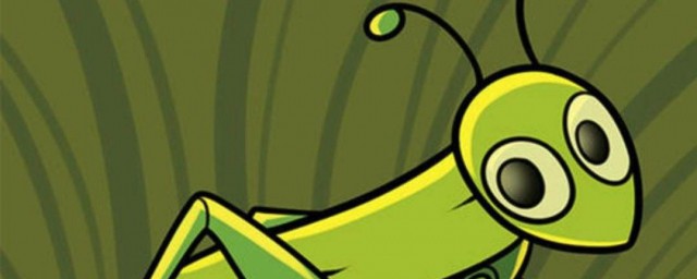 ô ʲô