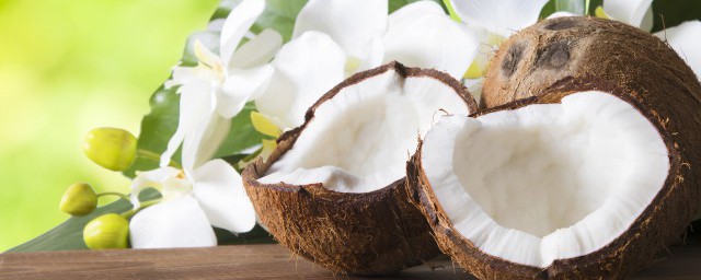 ҬӺ㽶һ ҬӺ㽶һ