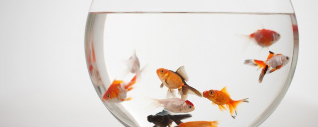 ���ʲôλ�ü��� ���Ʒ�ˮ��İڷŽ���