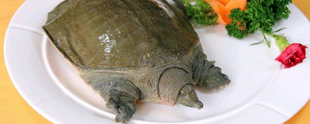 α ıʲô