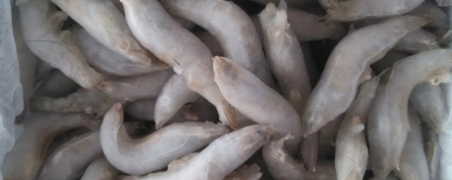 ѡ䶳ˮƷ ѡ䶳ˮƷ
