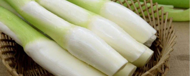 ʲôڳ ĸڳ