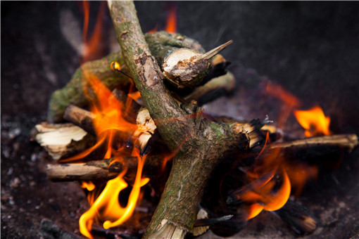农村可以烧柴做饭吗？禁止农村烧柴有规定吗？